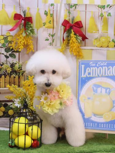 20240413ちくわくん